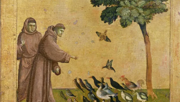 2026, une année sous le regard de saint François d’Assise